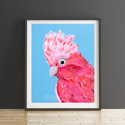 Galah Print